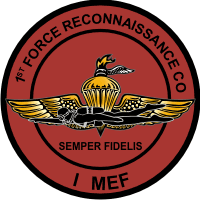 1st Force Recon Company, I MEF Marine Expeditionary Force Decal