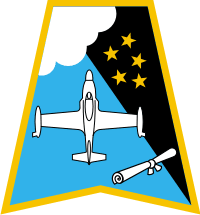 3641st Pilot Training Squadron Decal