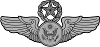 Air Force Enlisted Aircrew Badge - Chief Decal