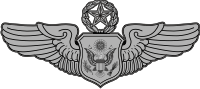 Air Force Officer Aircrew Badge - Master Decal