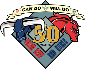 USAF Civil Engineers 50th Anniversary (CE Insignia) Decal