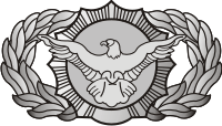 Air Force Security Police Decal
