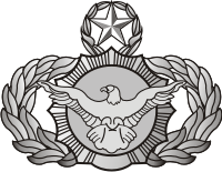 Air Force Security Police Chief Decal