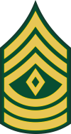 Army E-8 1SG First Sergeant Decal