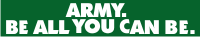 Army Be All You Can Be Decal