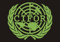 CIFOR Decal