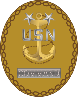 CMC Command Master Chief Pin (v2) Decal