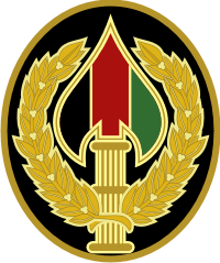 Combat Service Identification Badge, Special Operations Joint Task Force Afghanistan Decal