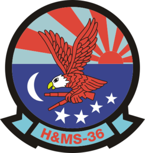 H&MS-36 Headquarters and Maintenance Squadron 36 Decal