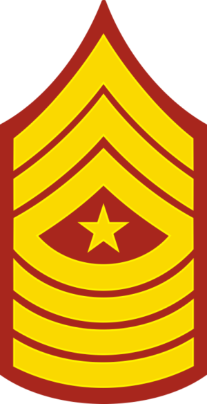 E-9 SGTMAJ Sergeant Major (Gold) Decal